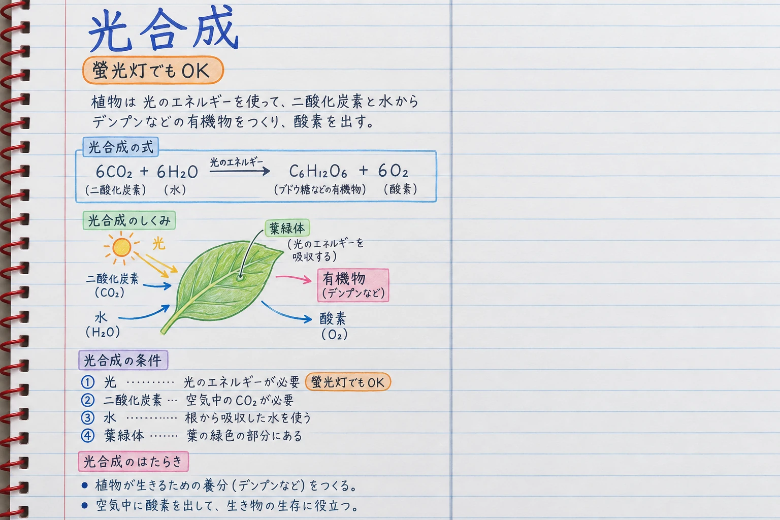 板書と補足を分け余白を残した見返しやすいノートの例