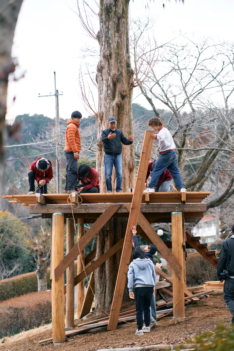 自由の森学園の大きな木のまわりで、生徒たちが木のデッキを組み立てている