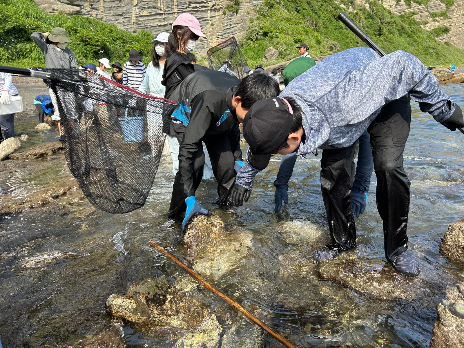 開智所沢中等教育学校のフィールドワーク。生徒が網を手に、浅瀬の岩場で生き物を探している