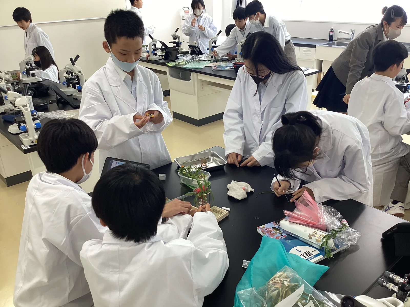 開智所沢中等教育学校の理科の実験。白衣を着た生徒が、顕微鏡の並ぶ机で植物を観察している
