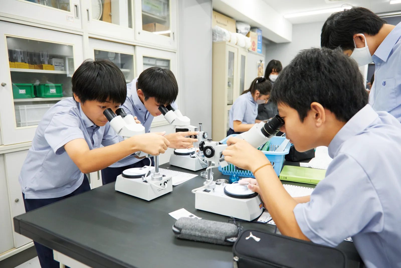 昭和学院秀英中学校・高等学校の実験室。生徒たちが並んで顕微鏡をのぞいている